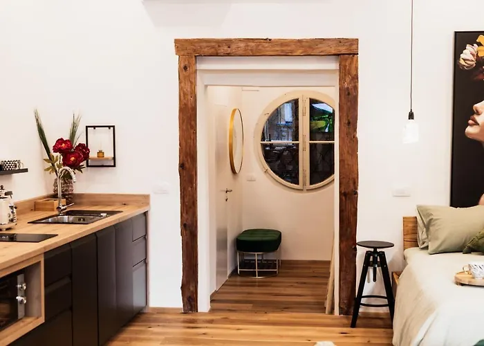 Hercules Strict City Centre Studio Superior Apartma Ljubljana