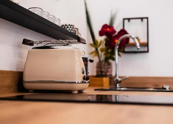 Hercules Strict City Centre Studio Superior *